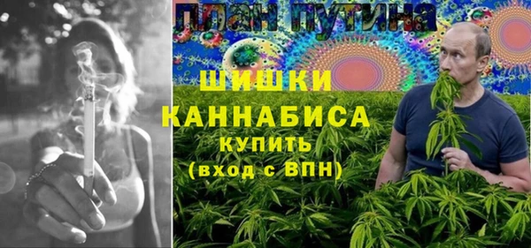 гашик Алексин