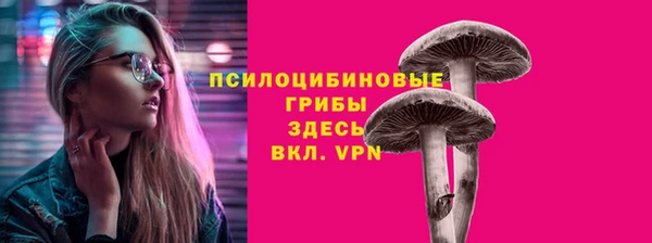гашик Алексин