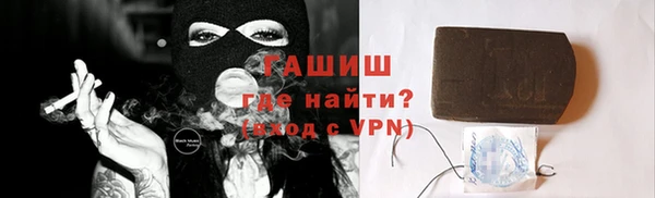 гашик Алексин