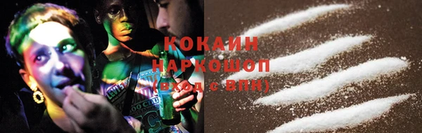 гашик Алексин