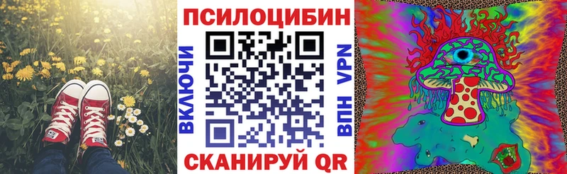 Псилоцибиновые грибы GOLDEN TEACHER Бавлы